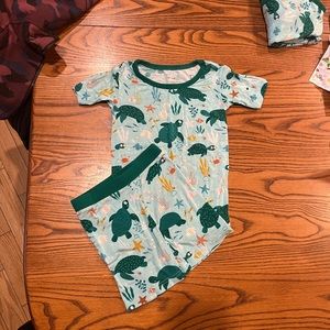 3-6m, 3T, 16 sea turtle friends